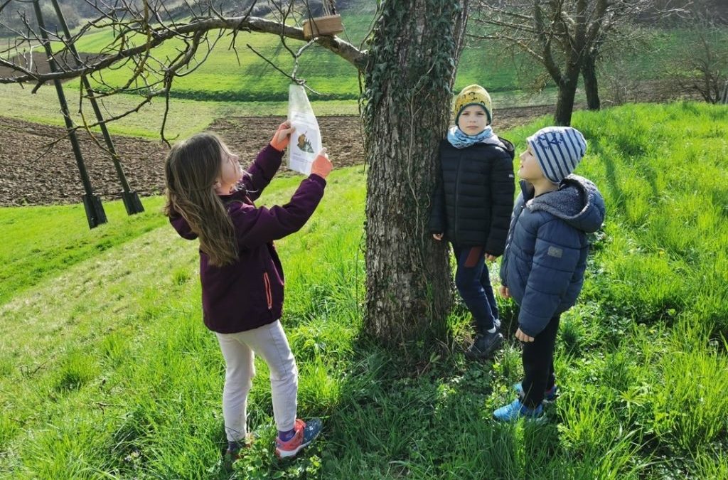 Šola v naravi prvi razred – 2. dan